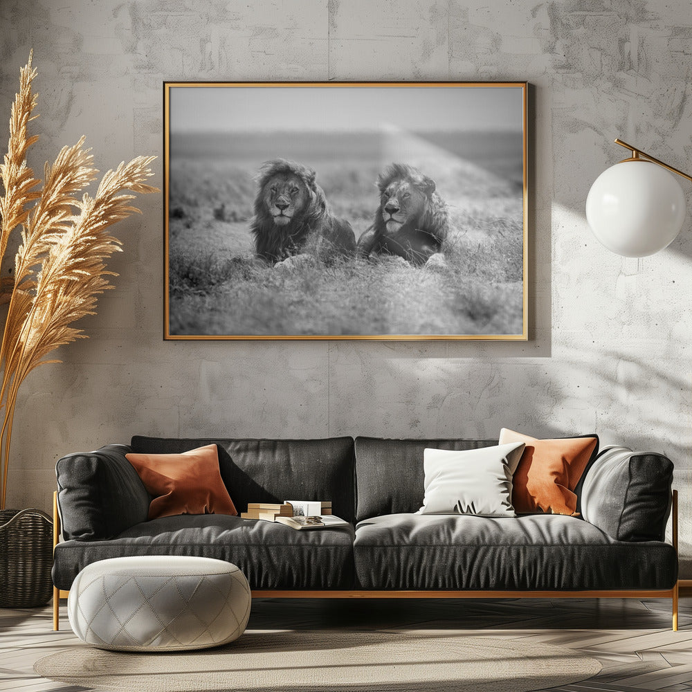 Two kings | Canvas