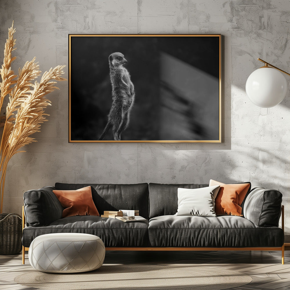 The meerkat | Canvas
