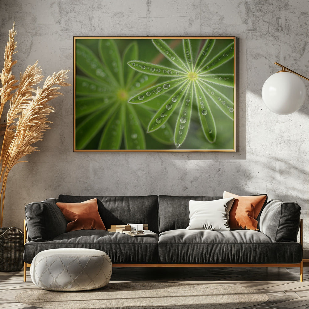 Pearly Lupine | Canvas