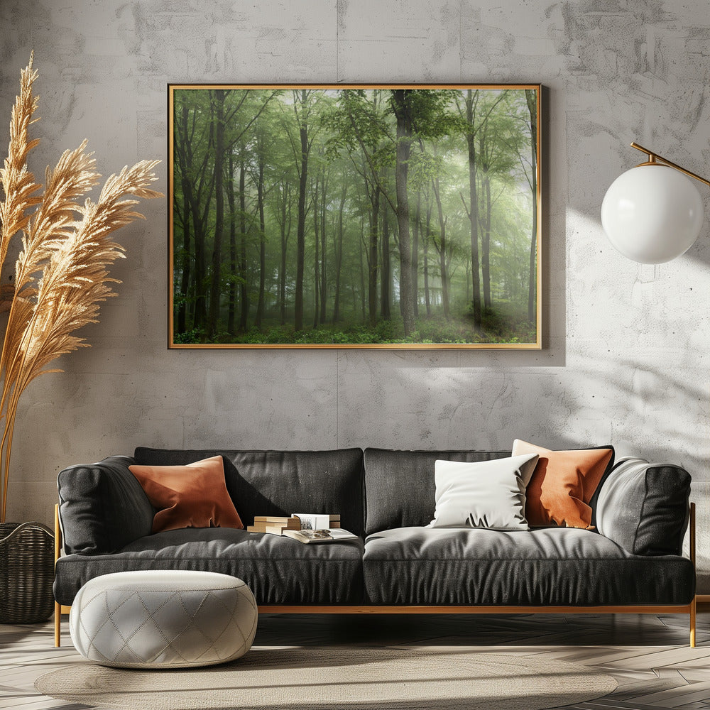 Forest... | Canvas