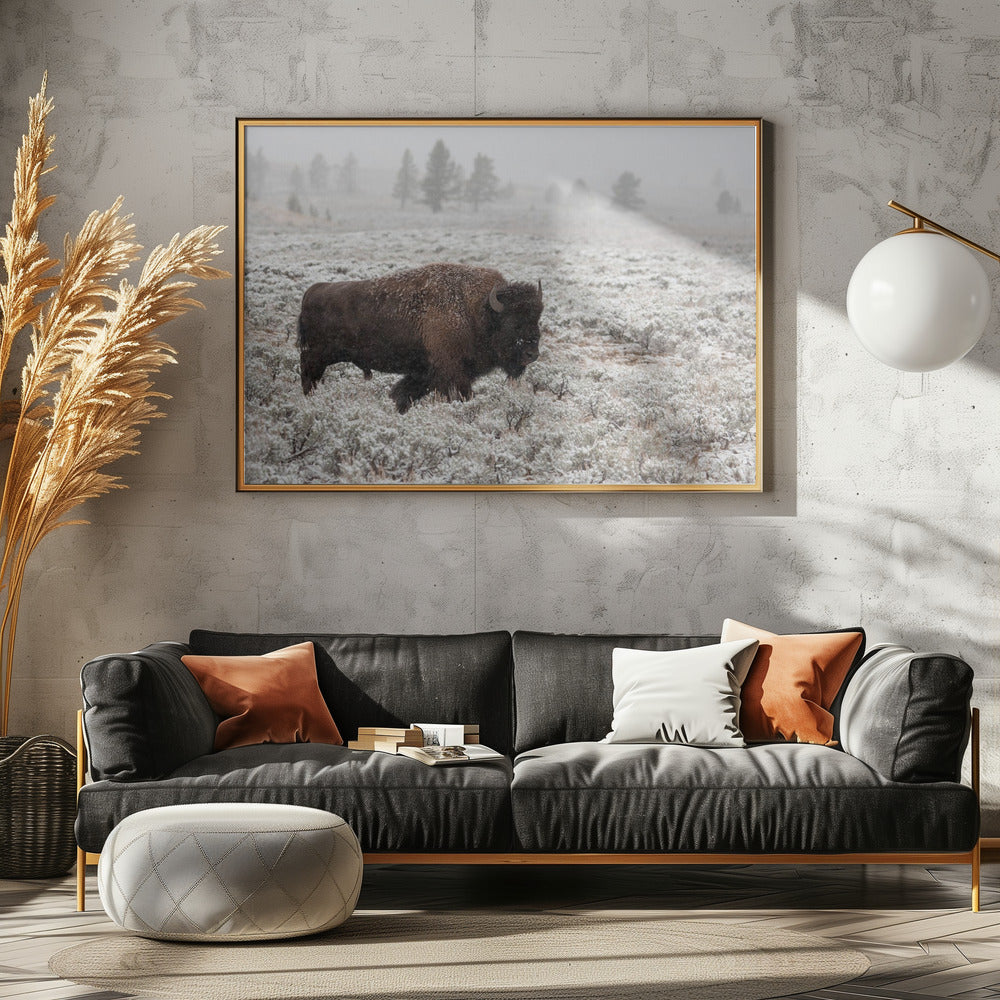 Late Fall Yellowstone | Canvas