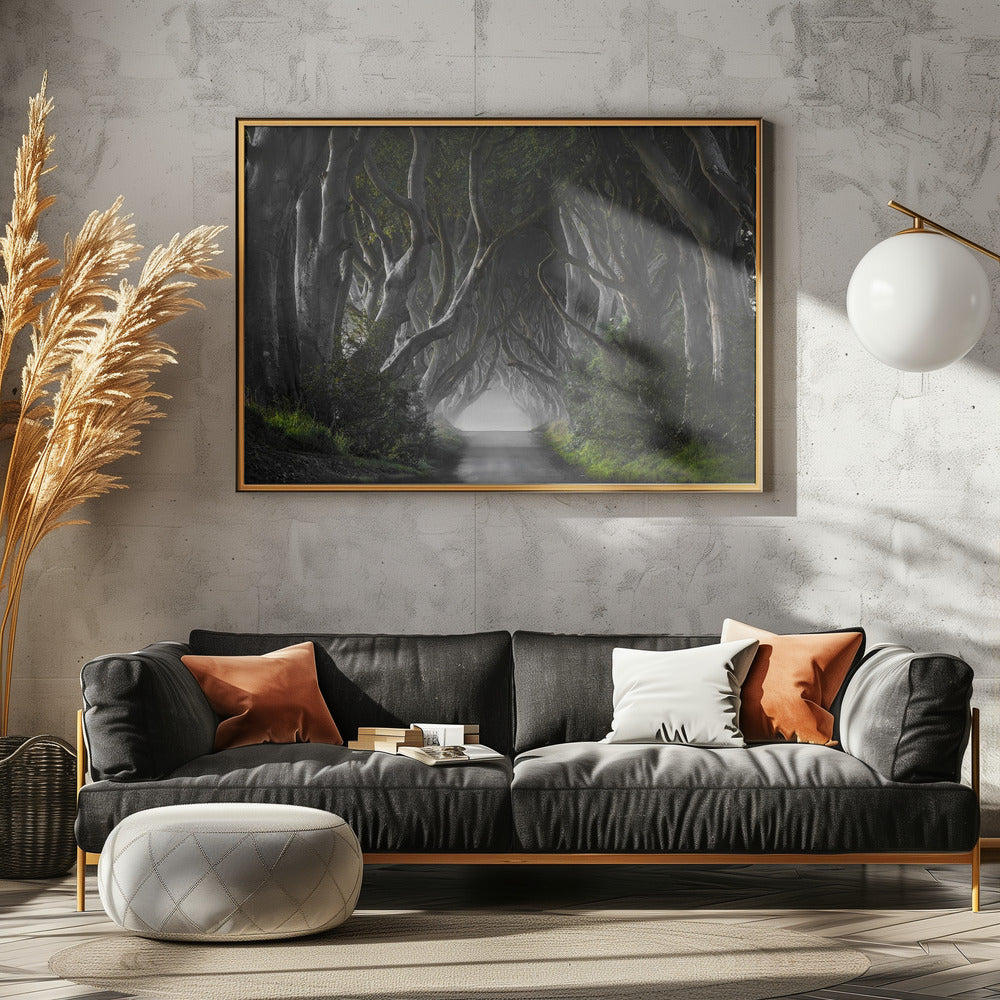 DARK HEDGES | Canvas