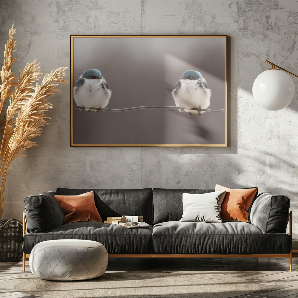 Birds on a wire | Poster