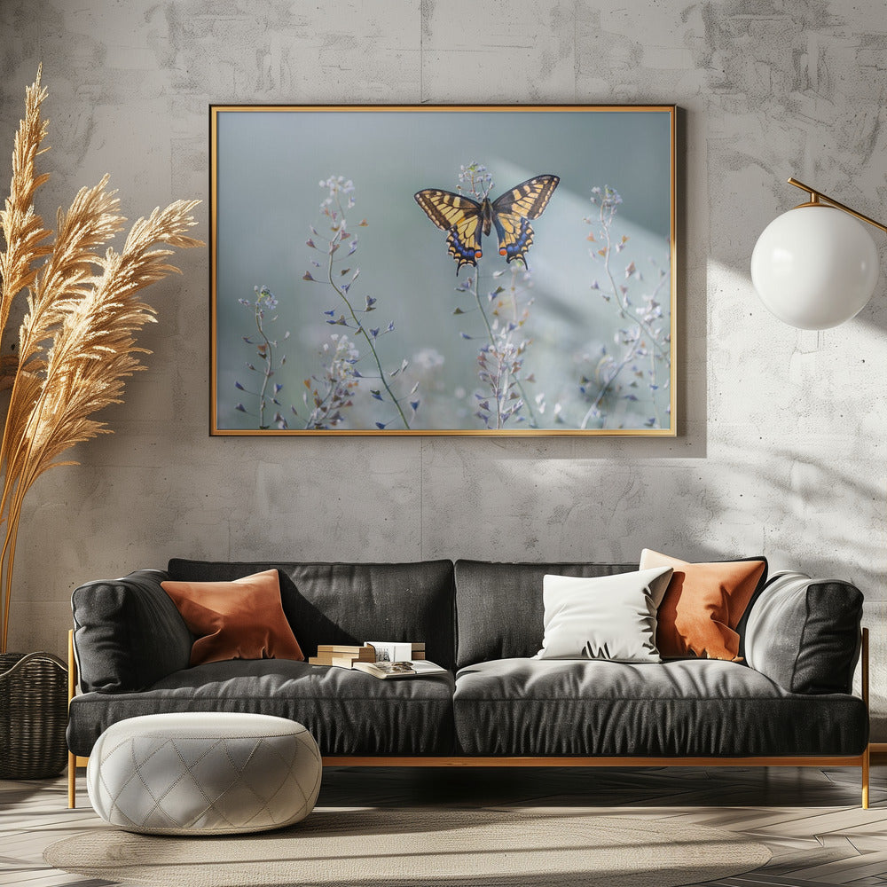 Swallowtail beauty | Canvas
