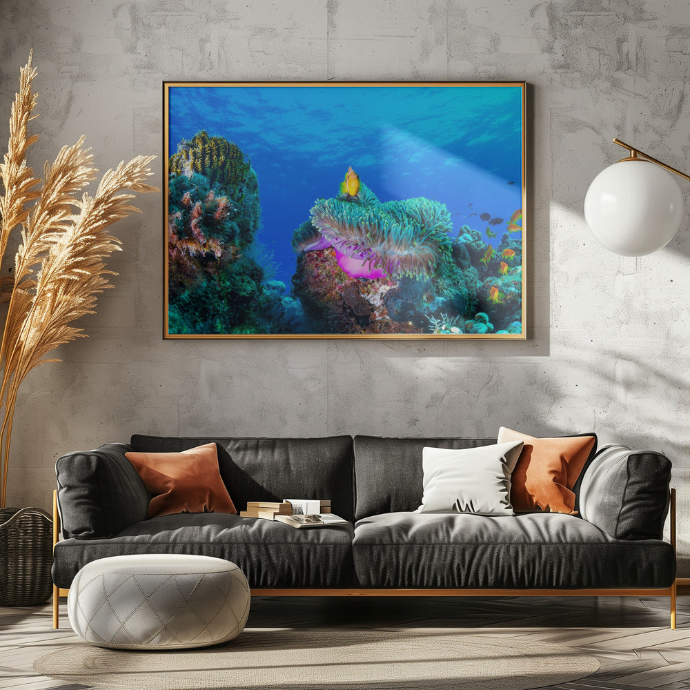 Sea life | Poster