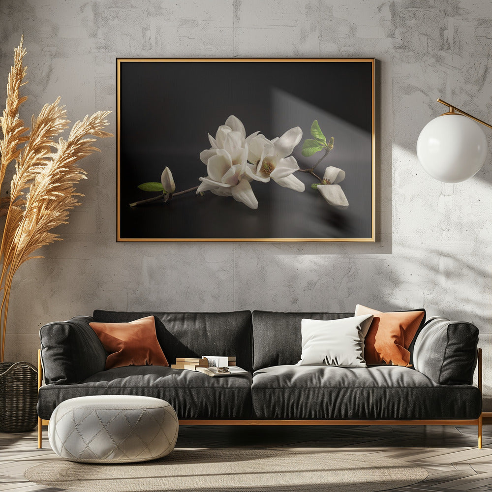 Magnolia | Canvas