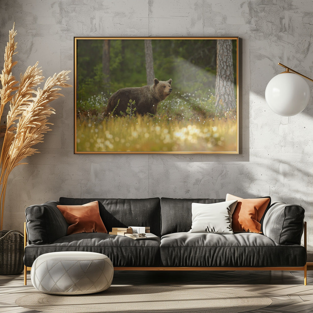 Brown Bear | Canvas