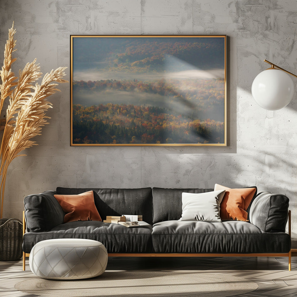 Misty Morning | Canvas