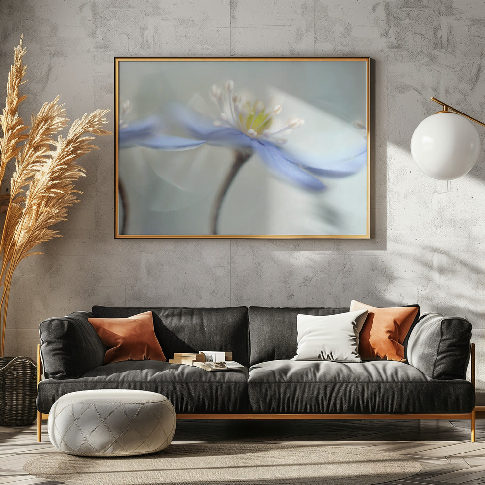 Dancing anemones | Canvas