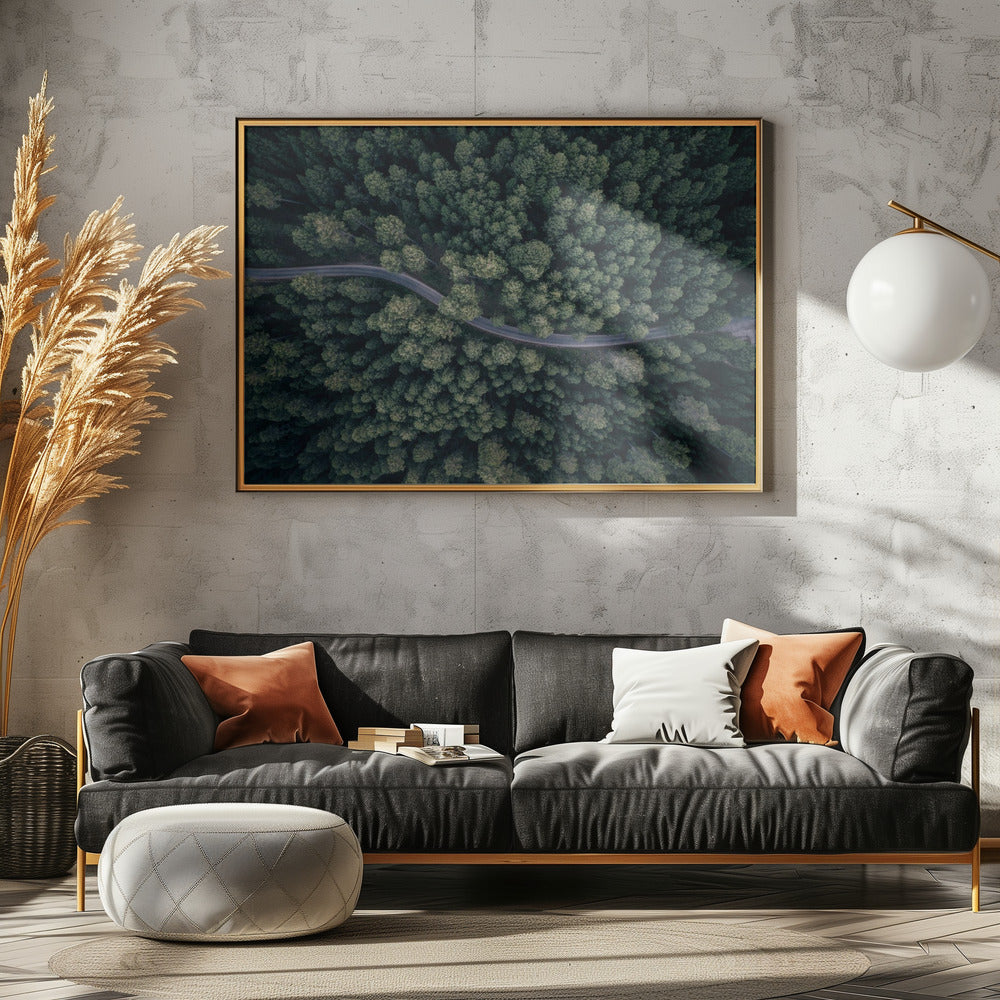 From above | Canvas