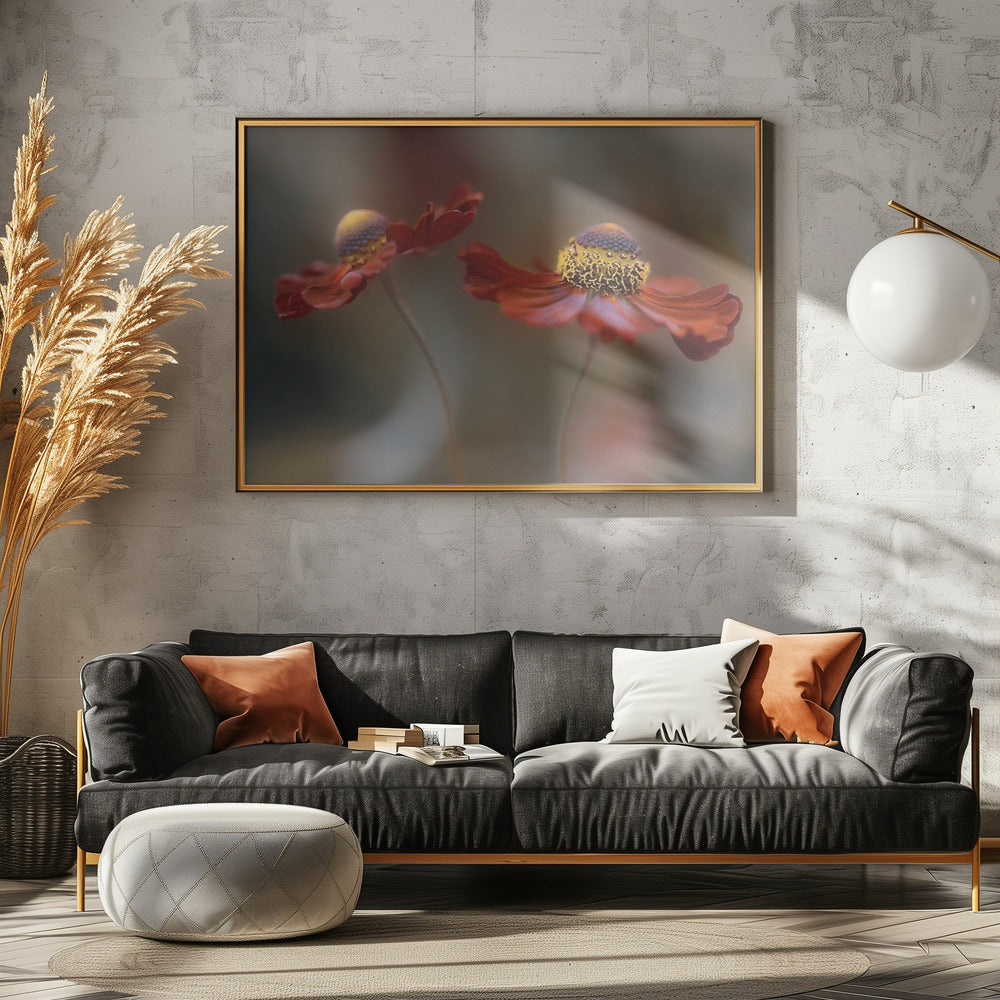 Helenium dance | Poster