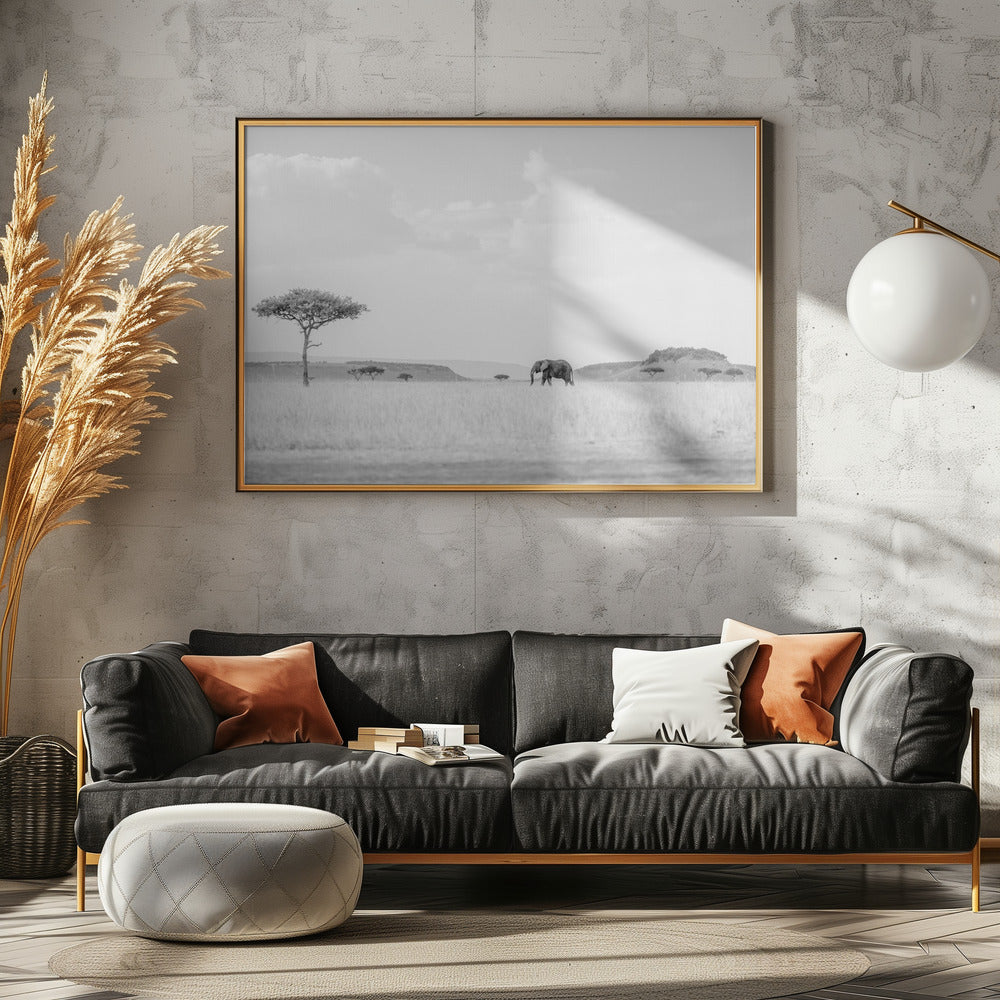 HIGH KEY SAVANNAH | Poster