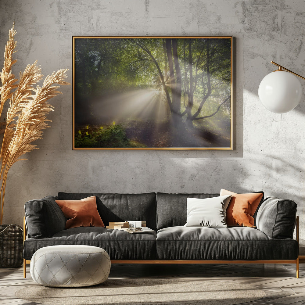 The morning light | Poster