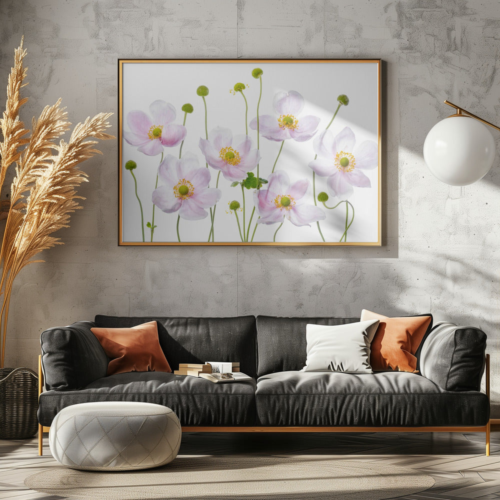 Japanese Anemones | Canvas