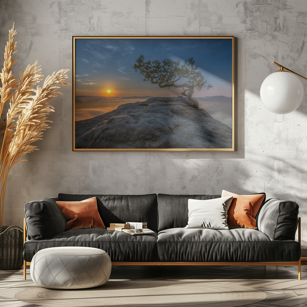 Old pine | Canvas
