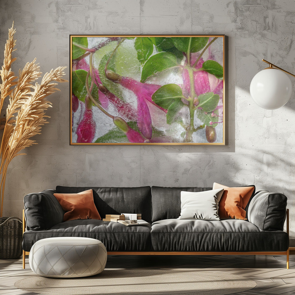 Fuchsia freeze | Poster