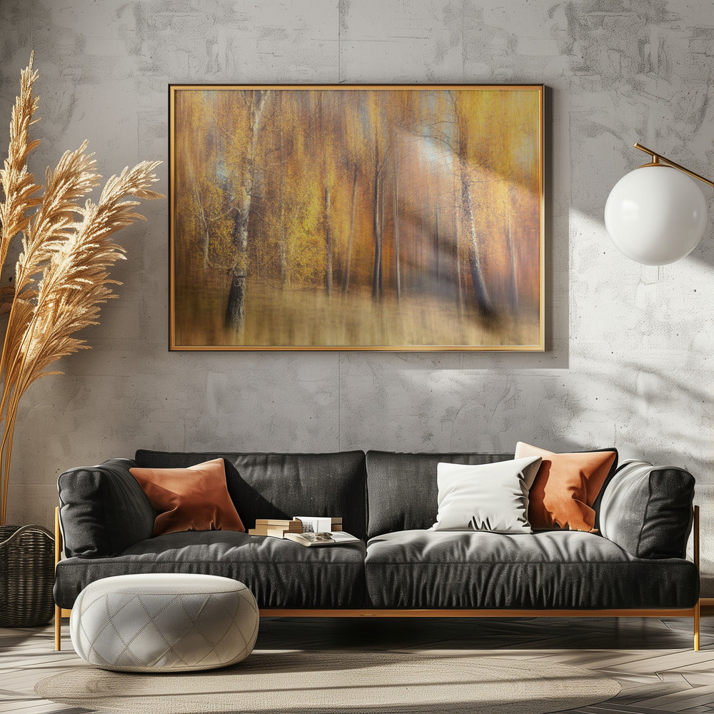 Autumn Birches | Poster