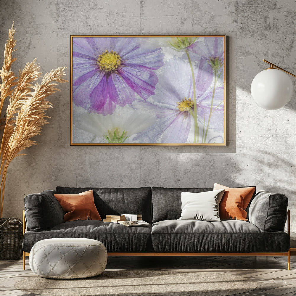 Cosmos cool | Poster