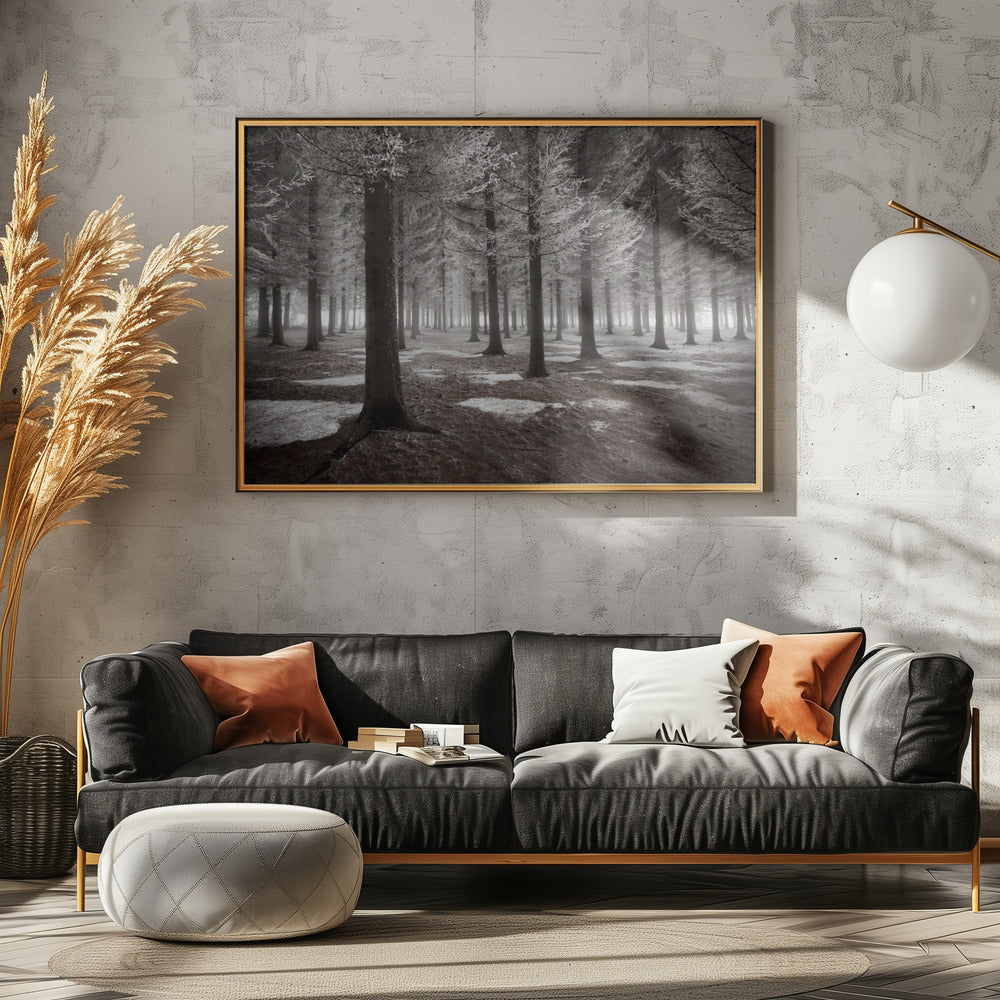 The onset of winter | Poster