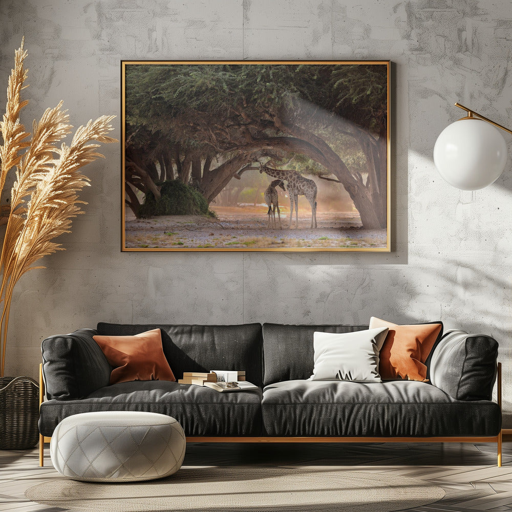 Giraffe - Namibia | Poster