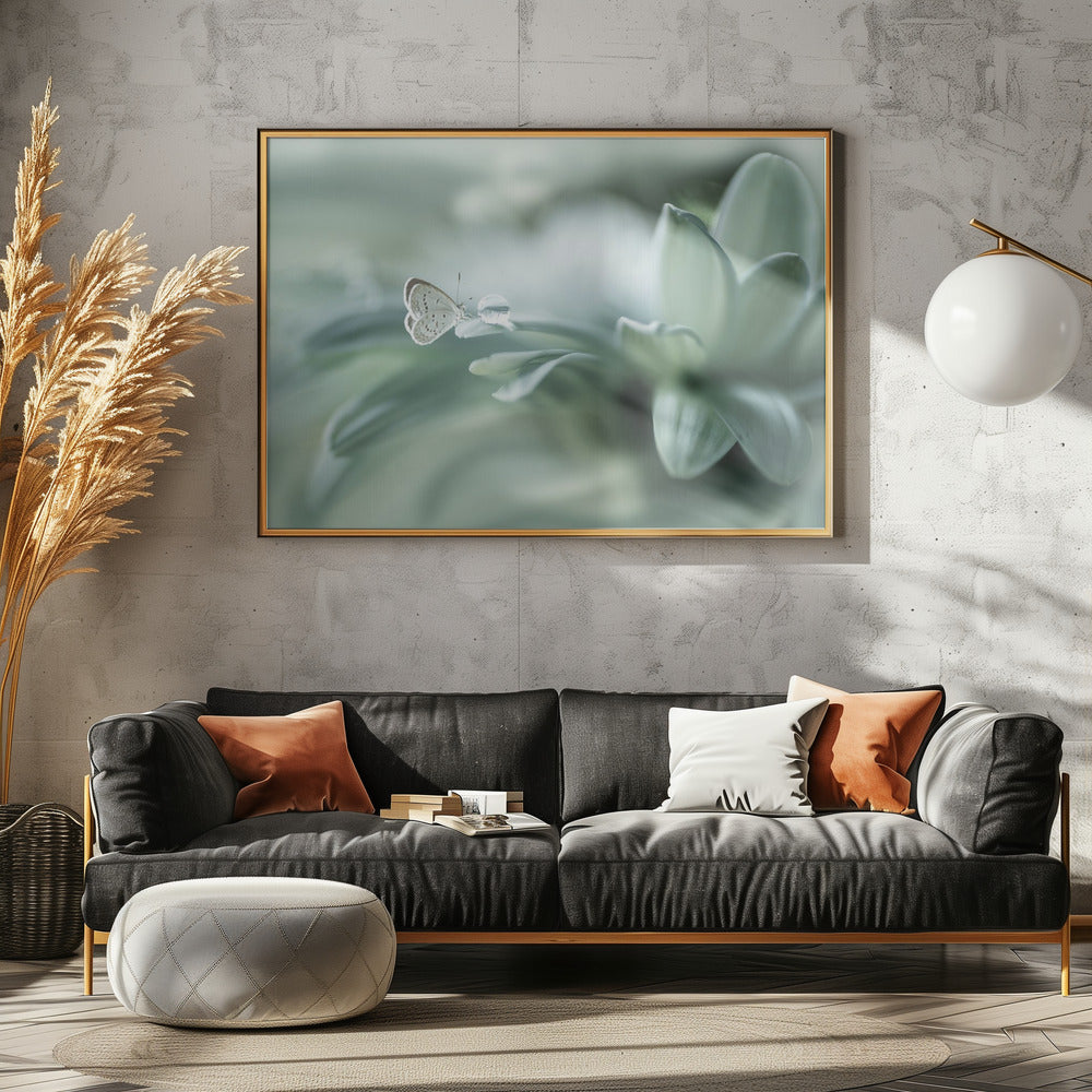 bola ajaib | Canvas