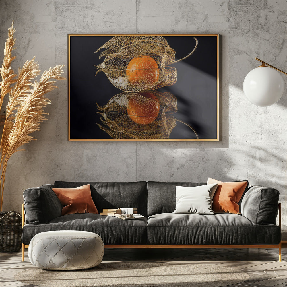 Physalis | Poster