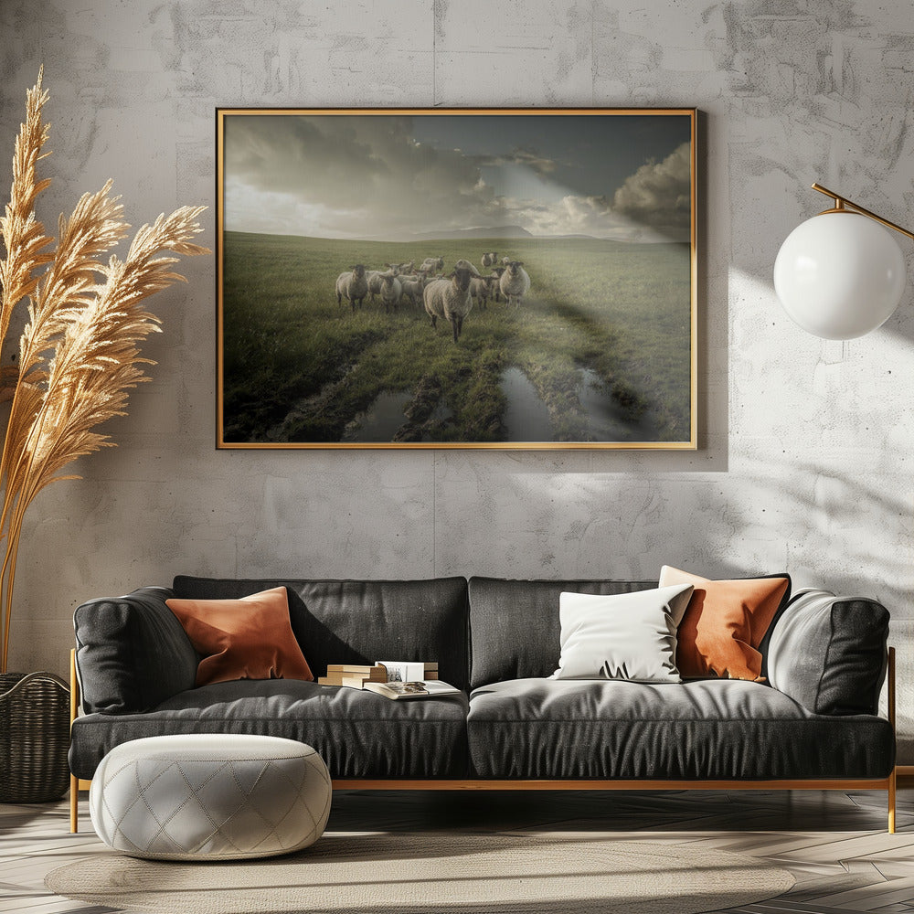 Sheep | Canvas