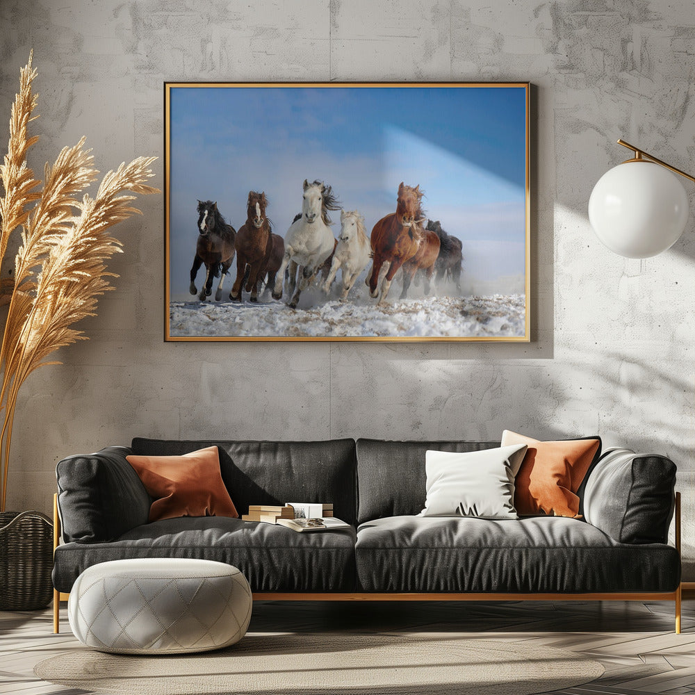 Mongolia Horses | Poster