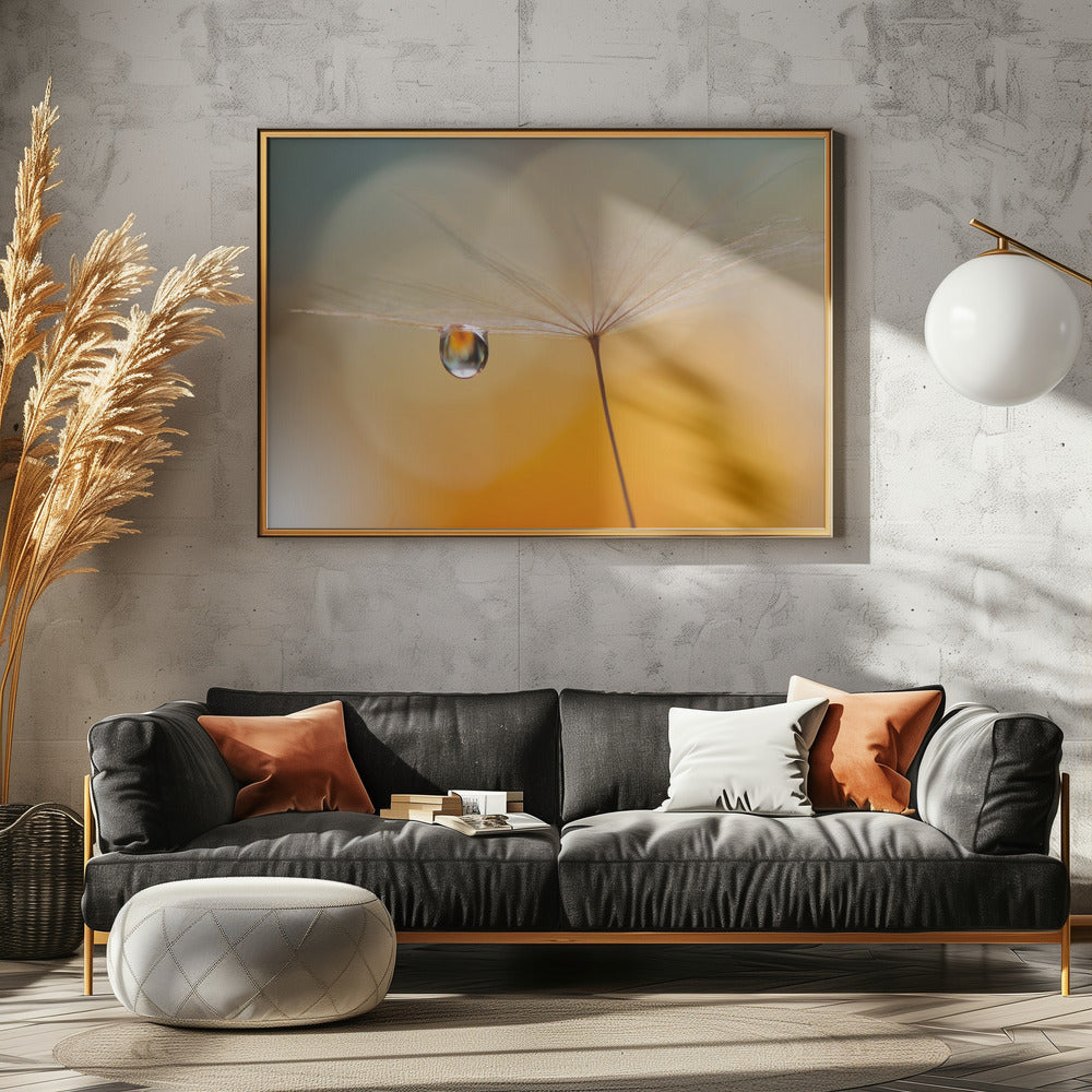 Little Night Music... | Canvas