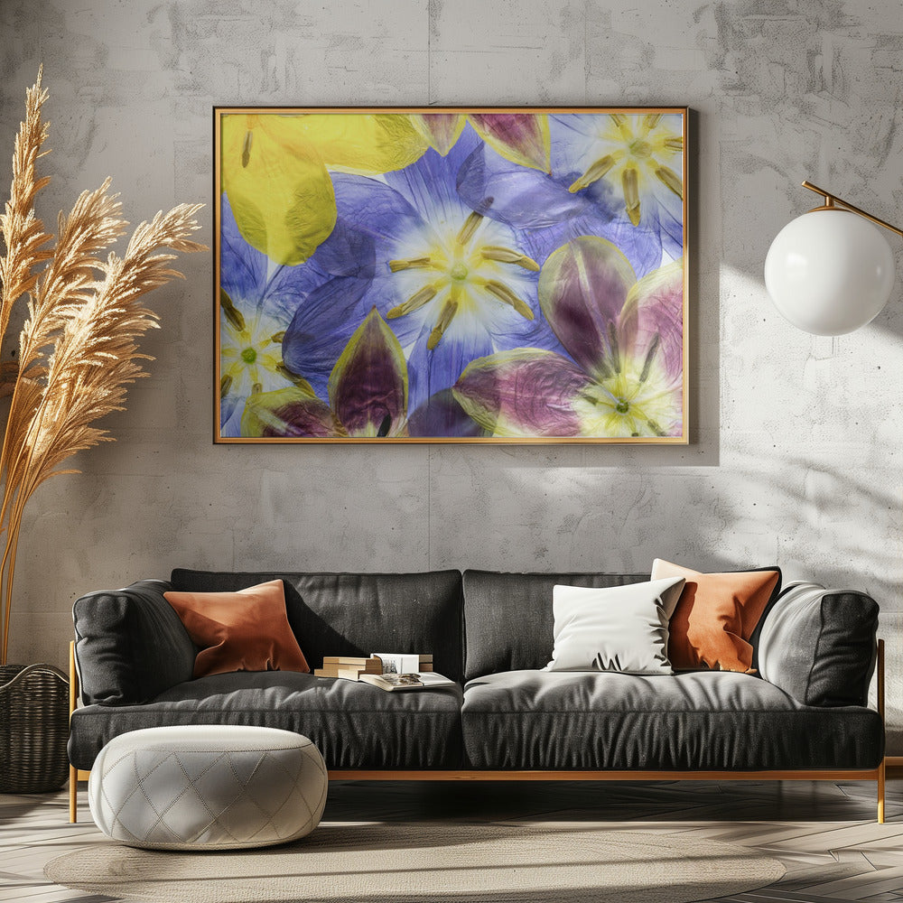 Tulips | Canvas