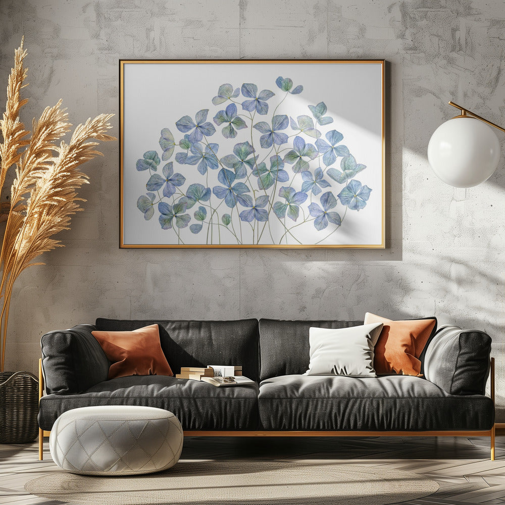 Hydrangea | Canvas