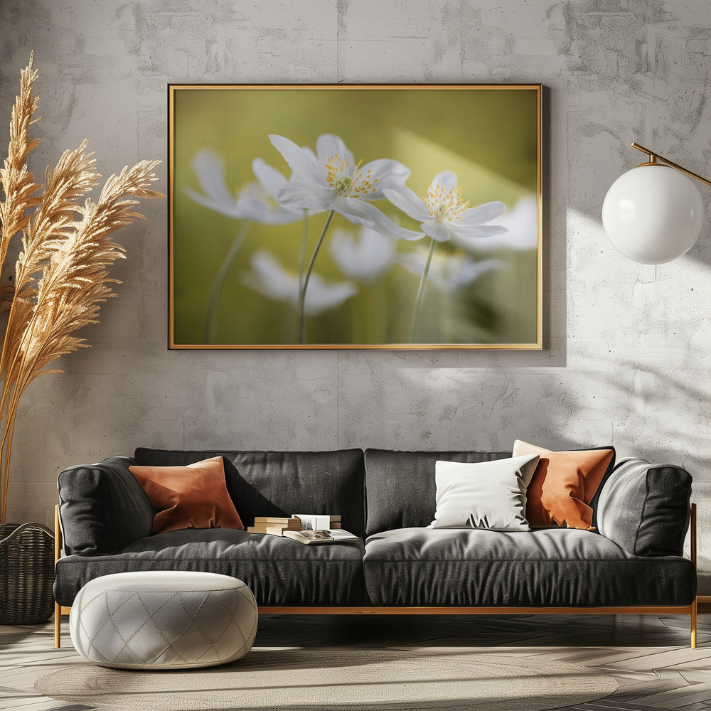 Wood Anemones | Poster