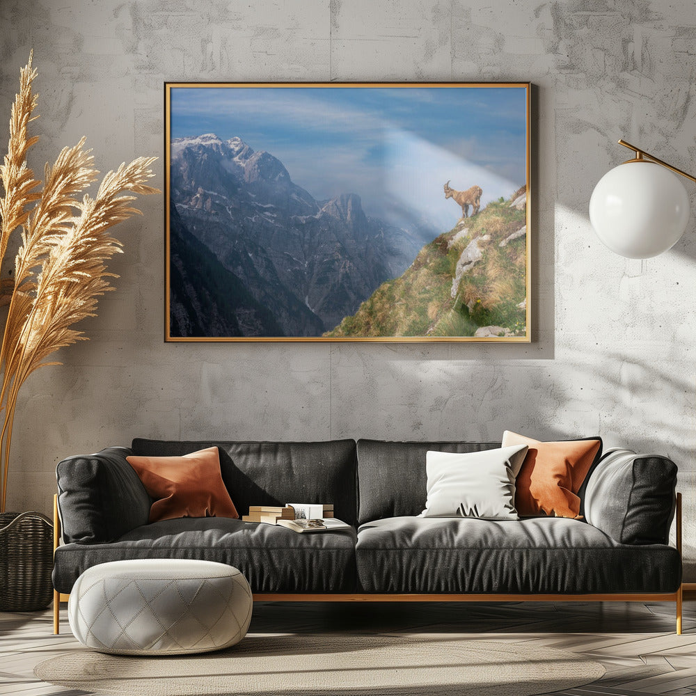 Alpine Ibex in the mountains | Canvas