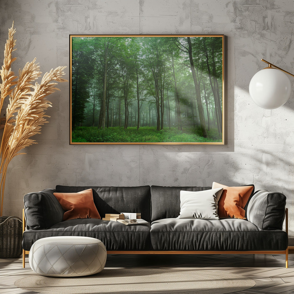 Forest View | Canvas