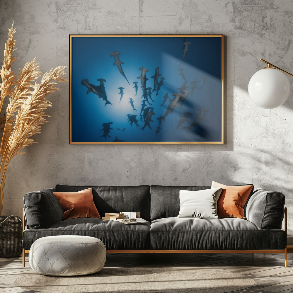 Hammerhead Shark - Underwater Photography | Poster