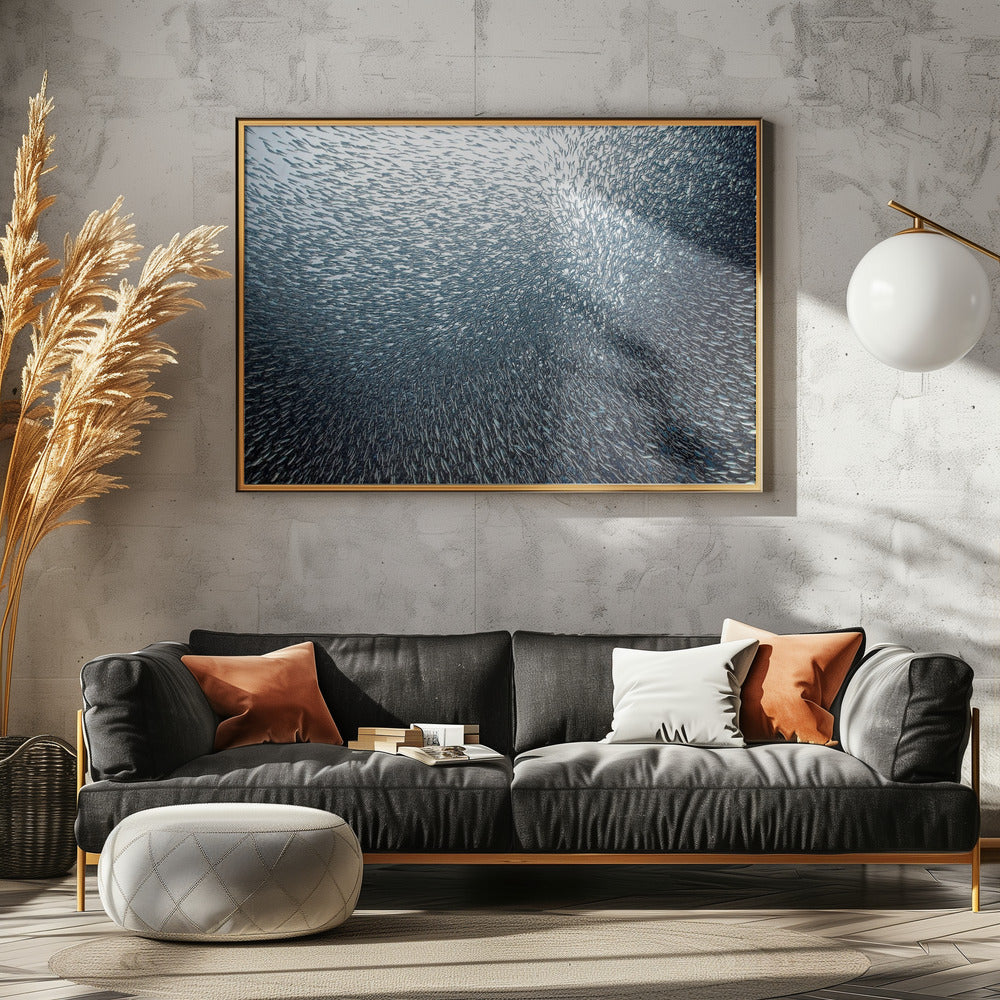 Sardines Firework | Poster