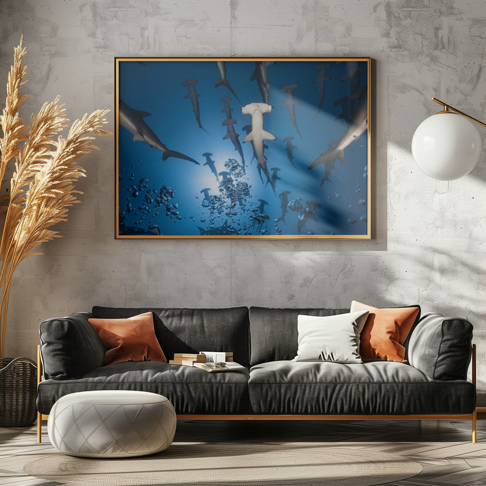 Hammerhead Shark | Canvas