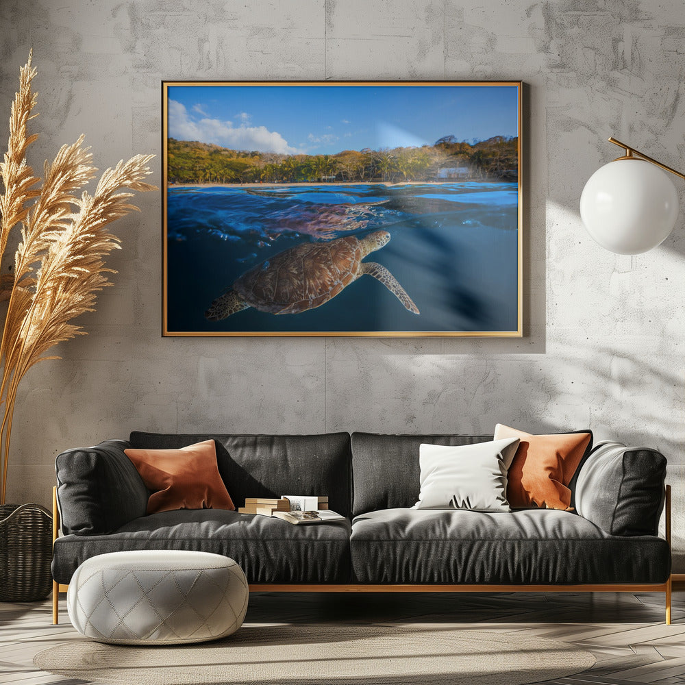 Green Turtle - Sea Turtle | Poster