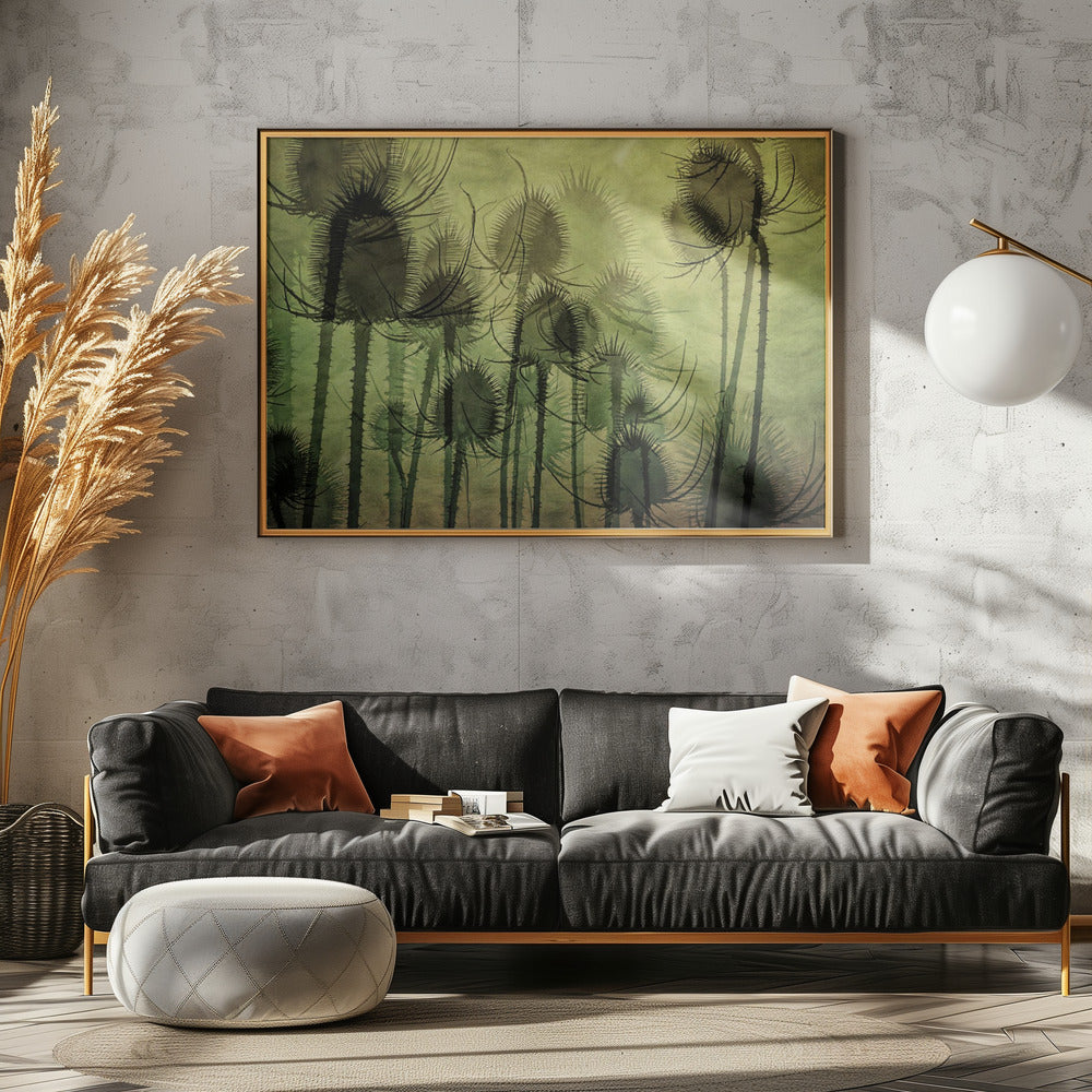 Wild Teasel | Canvas