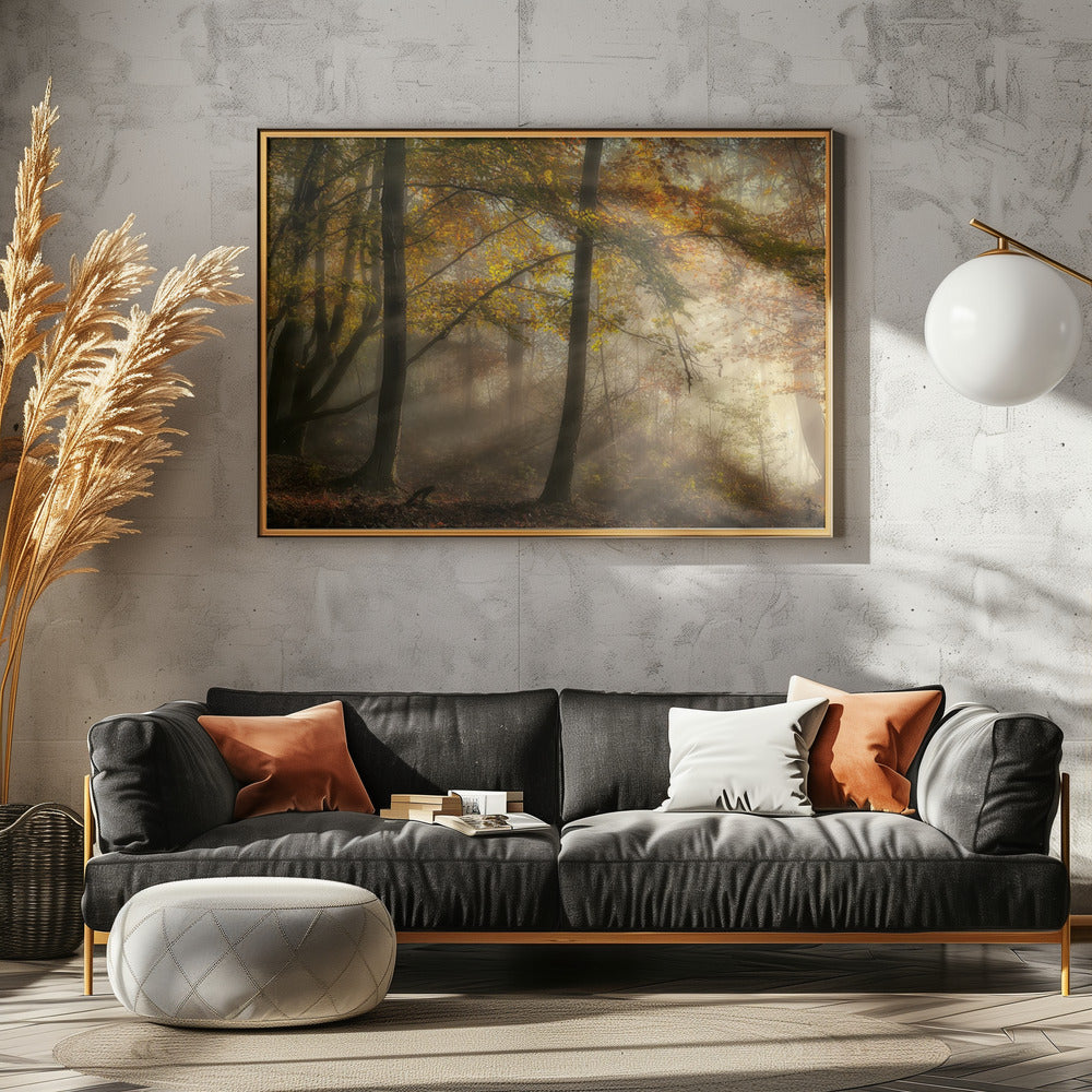 The lights of the forest | Poster