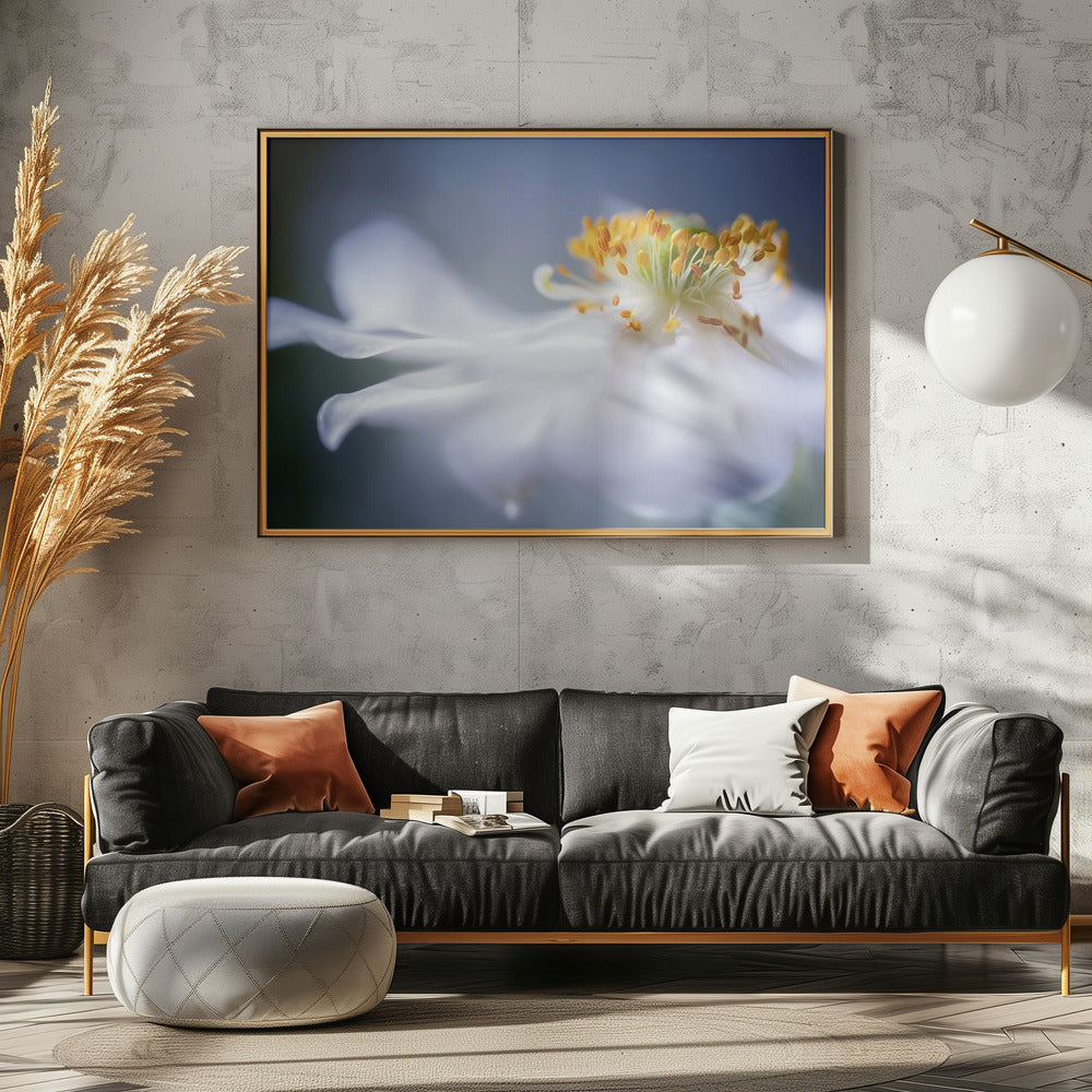 Anemone 1 | Canvas