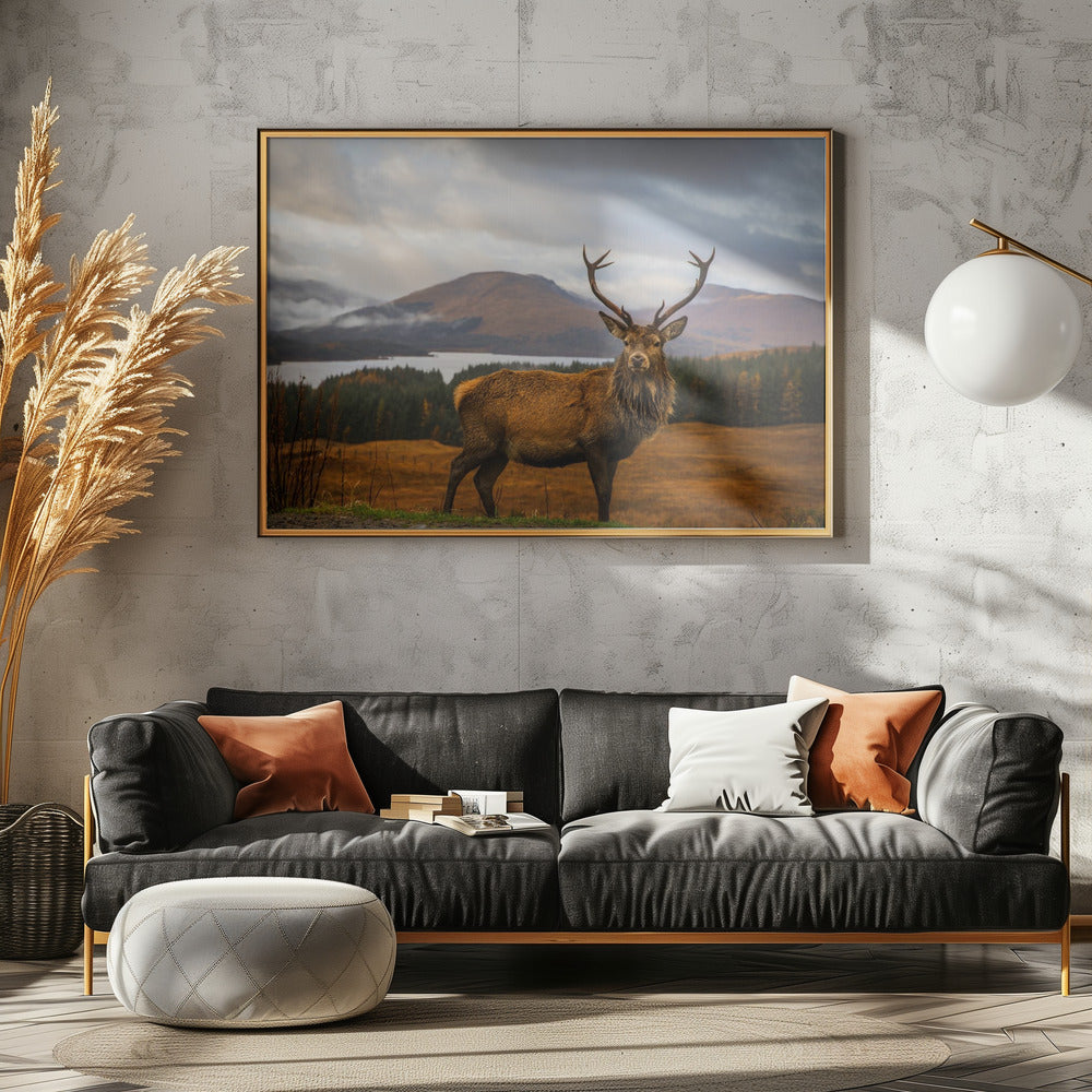 Scottish Stag | Poster