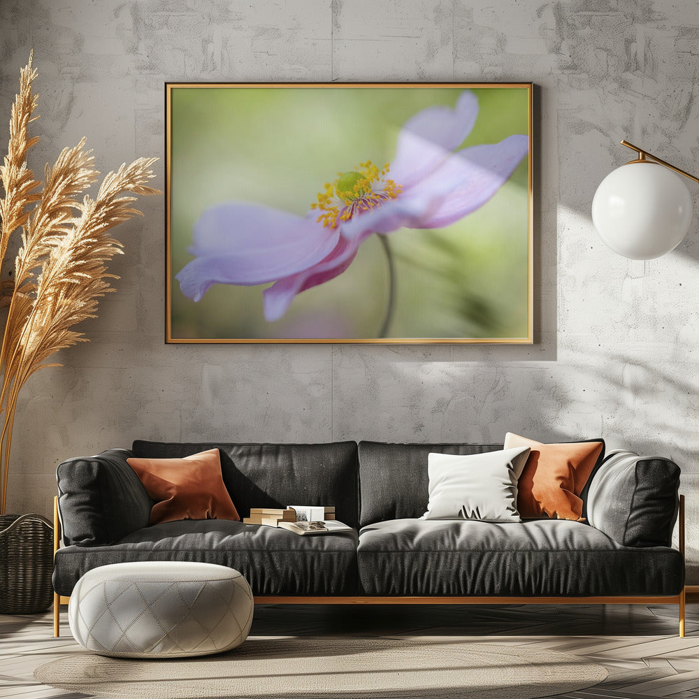 Japanese Anemone | Poster