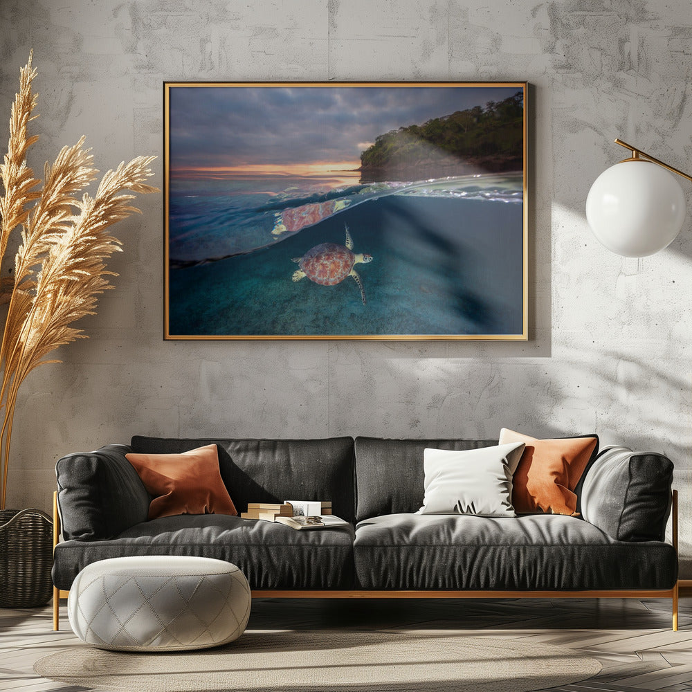 Green turtle with sunset | Canvas