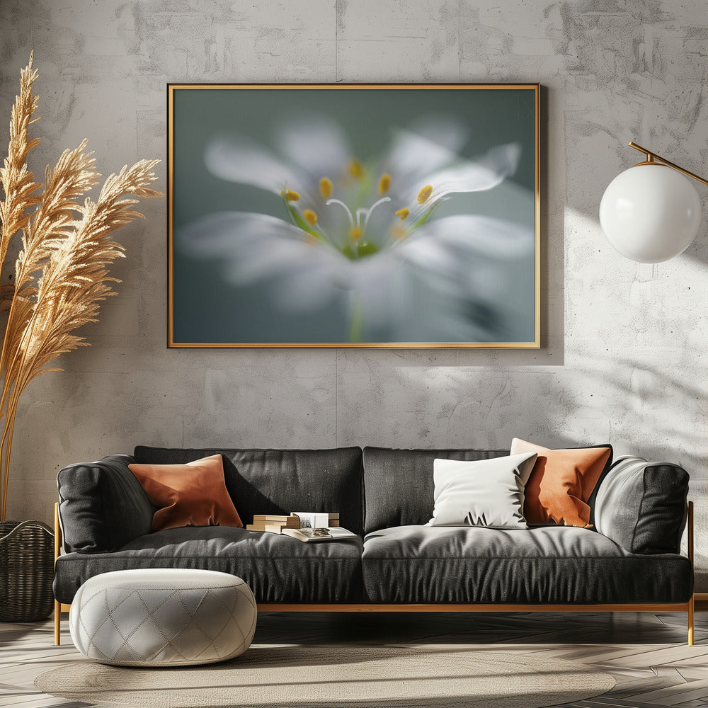Stitchwort | Poster