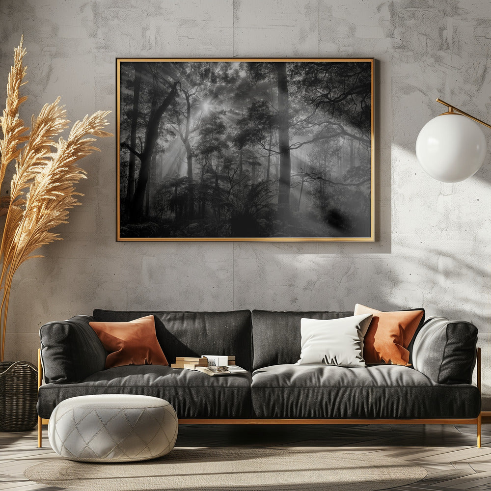 Primary forest | Poster