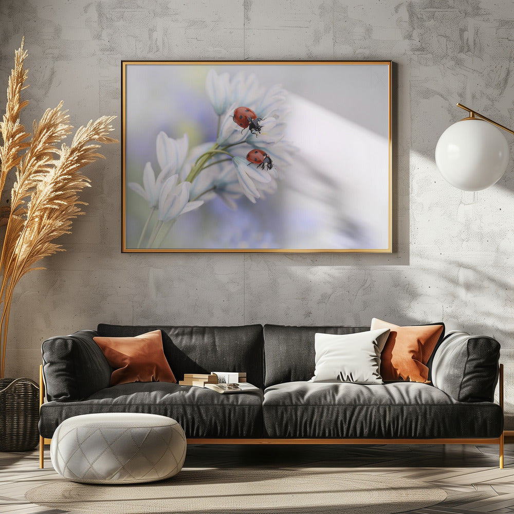 Ladybirds | Canvas