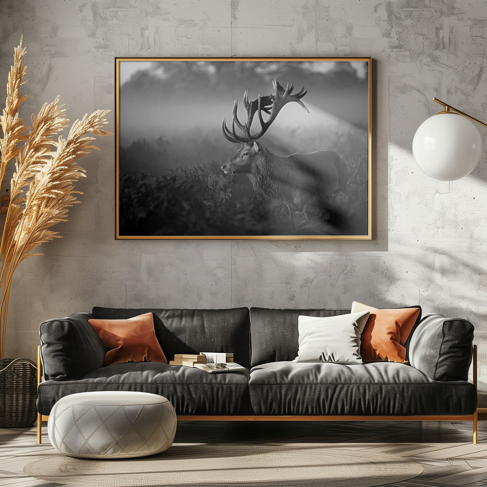 Sunny Morning | Poster