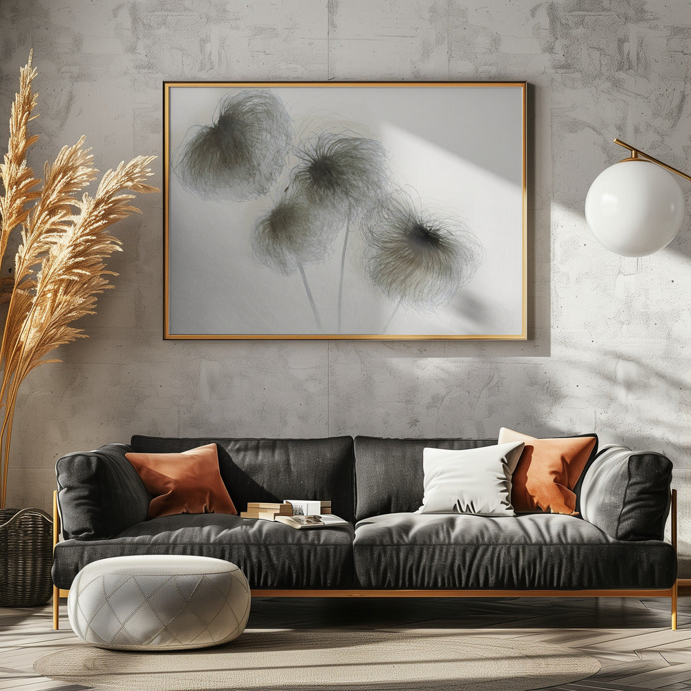 Clematis | Canvas