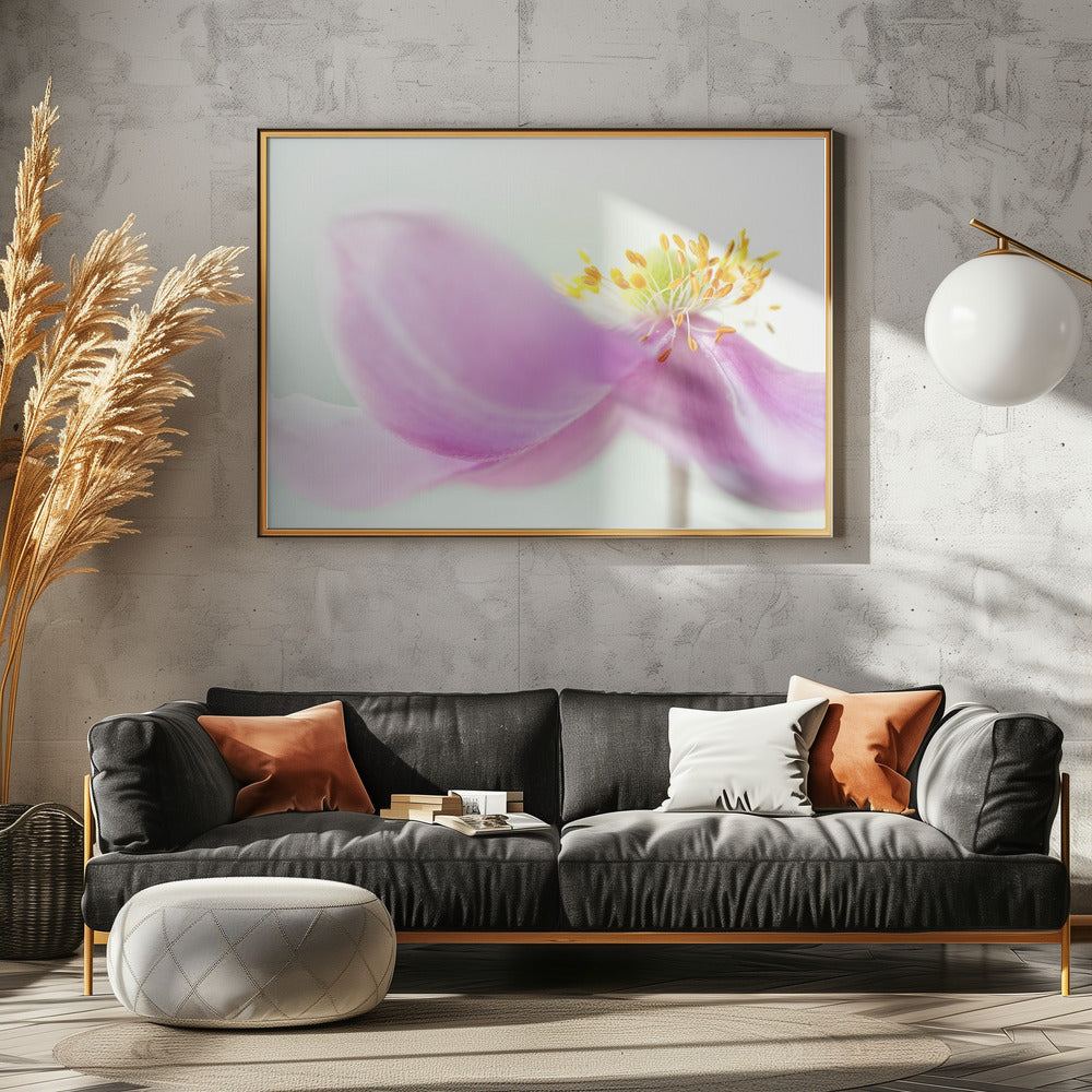 Anemone | Canvas
